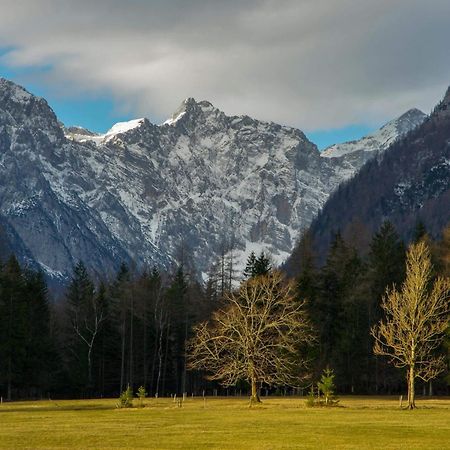 Turisticna Kmetija Psnak Mojstrana Exterior foto