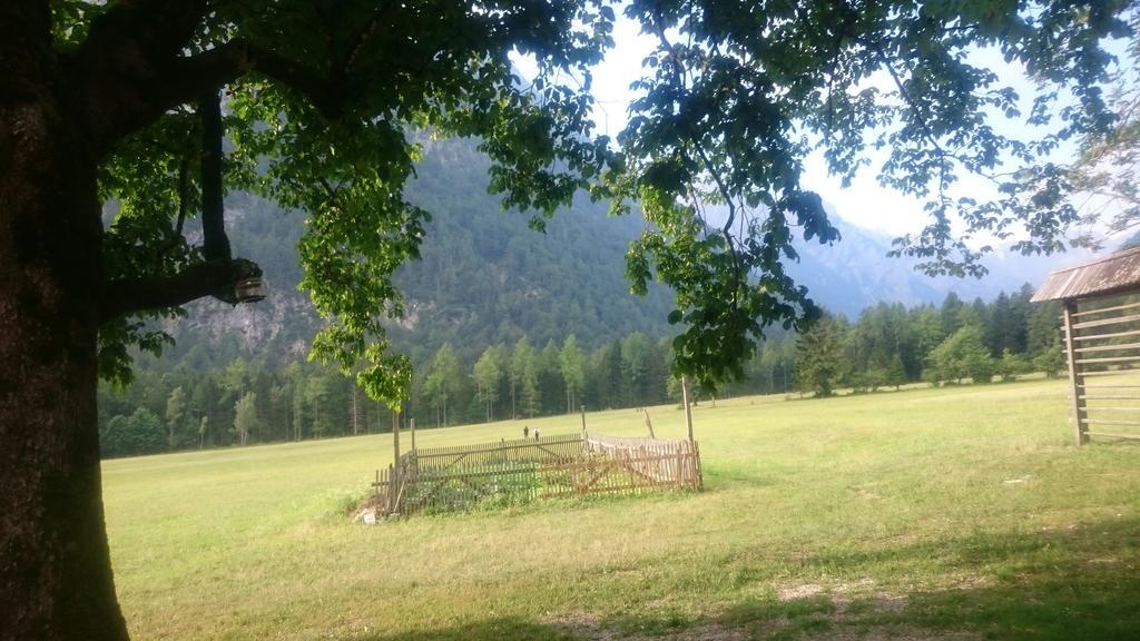 Turisticna Kmetija Psnak Mojstrana Exterior foto