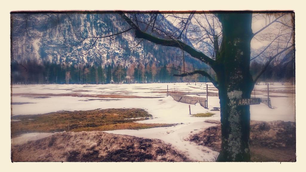 Turisticna Kmetija Psnak Mojstrana Exterior foto