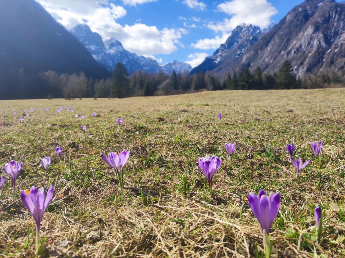 Turisticna Kmetija Psnak Mojstrana Exterior foto