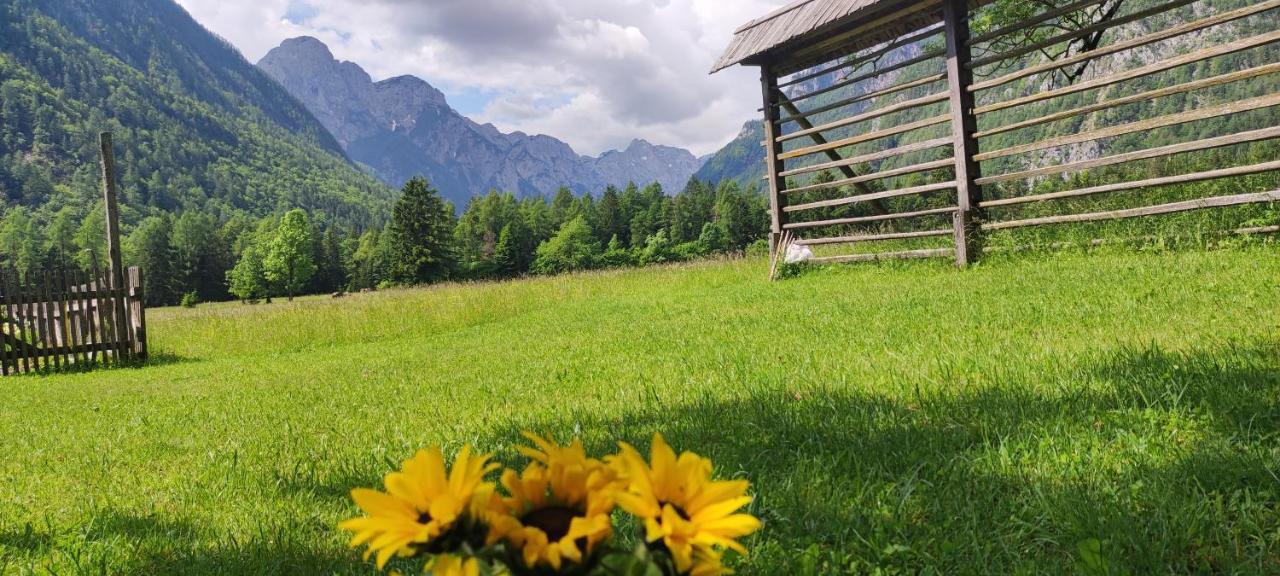 Turisticna Kmetija Psnak Mojstrana Exterior foto