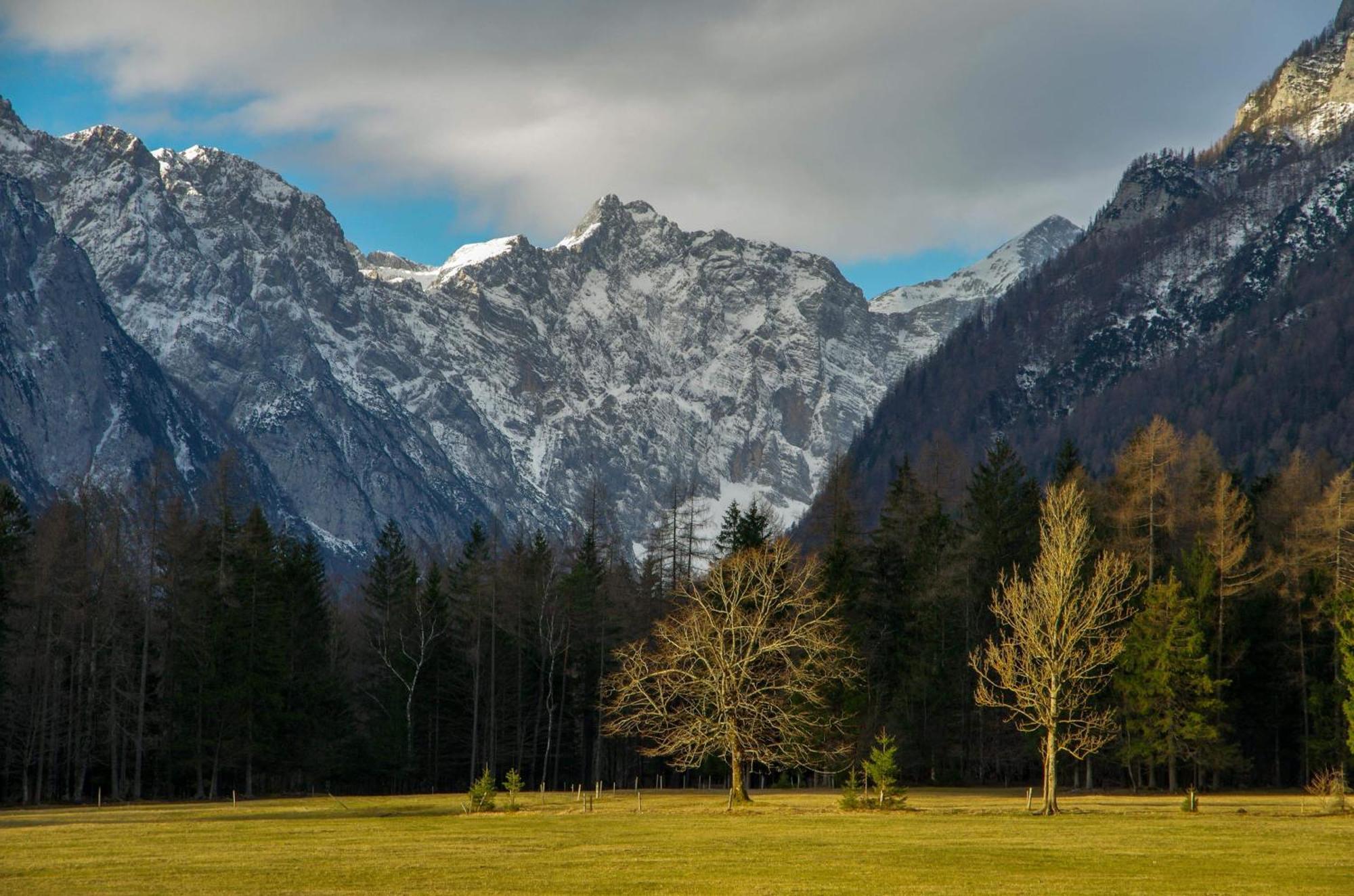 Turisticna Kmetija Psnak Mojstrana Exterior foto
