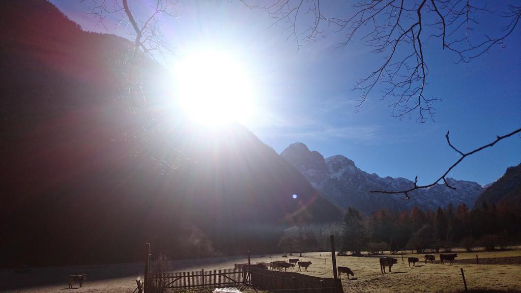 Turisticna Kmetija Psnak Mojstrana Exterior foto