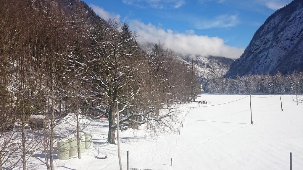 Turisticna Kmetija Psnak Mojstrana Exterior foto