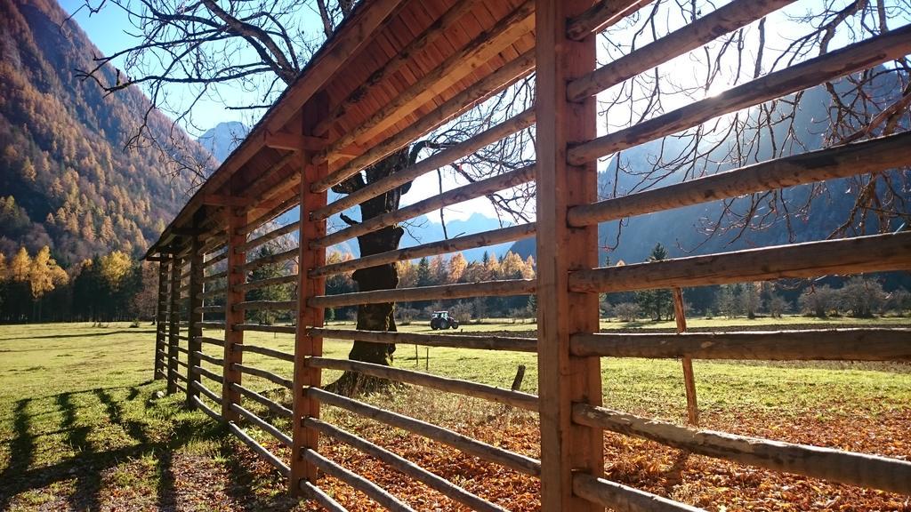 Turisticna Kmetija Psnak Mojstrana Exterior foto