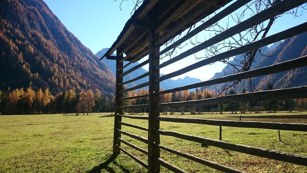 Turisticna Kmetija Psnak Mojstrana Exterior foto