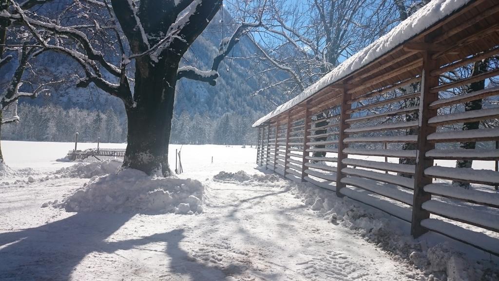 Turisticna Kmetija Psnak Mojstrana Exterior foto