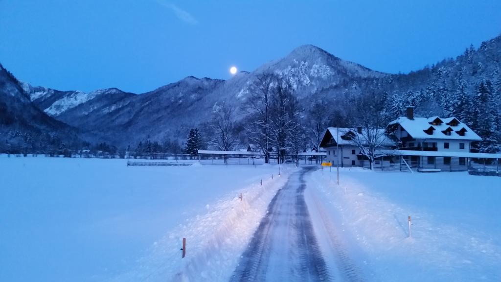 Turisticna Kmetija Psnak Mojstrana Exterior foto