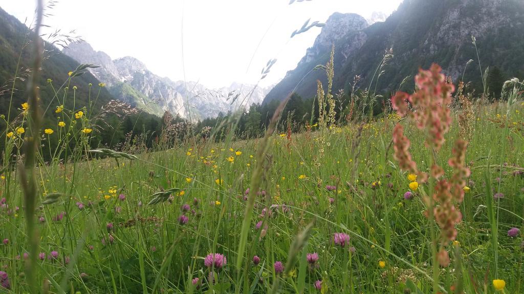 Turisticna Kmetija Psnak Mojstrana Exterior foto