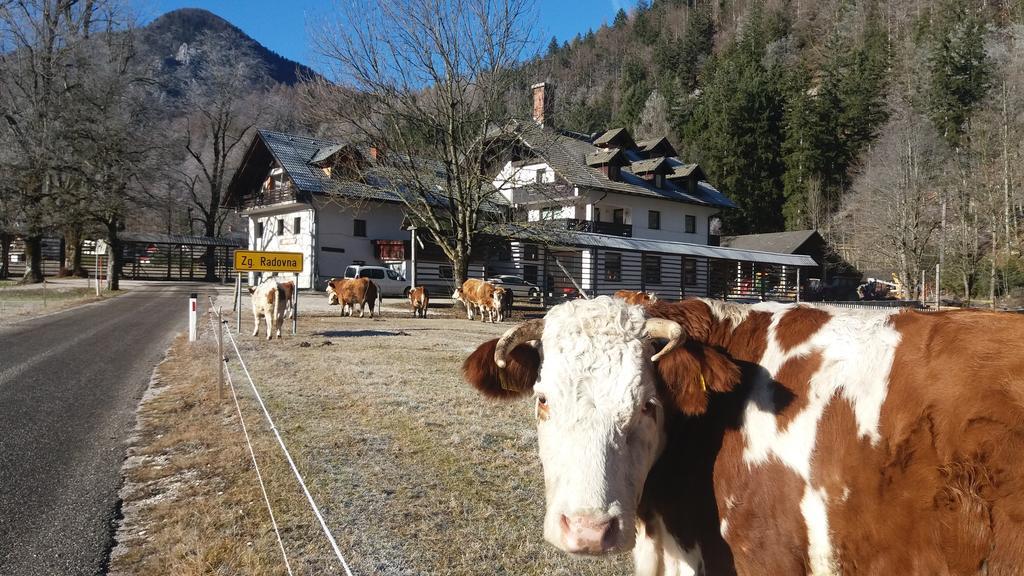 Turisticna Kmetija Psnak Mojstrana Exterior foto