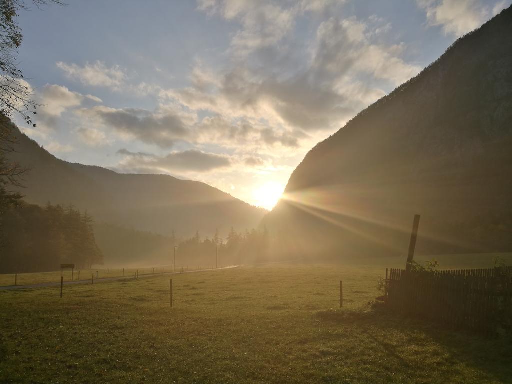 Turisticna Kmetija Psnak Mojstrana Exterior foto