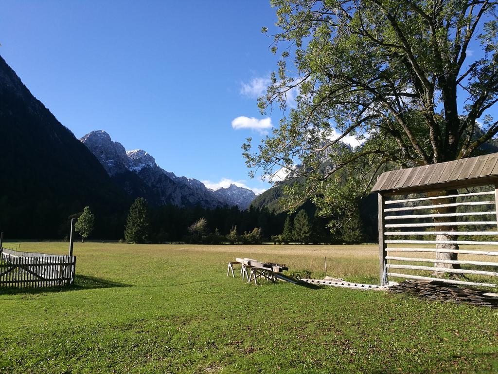 Turisticna Kmetija Psnak Mojstrana Exterior foto