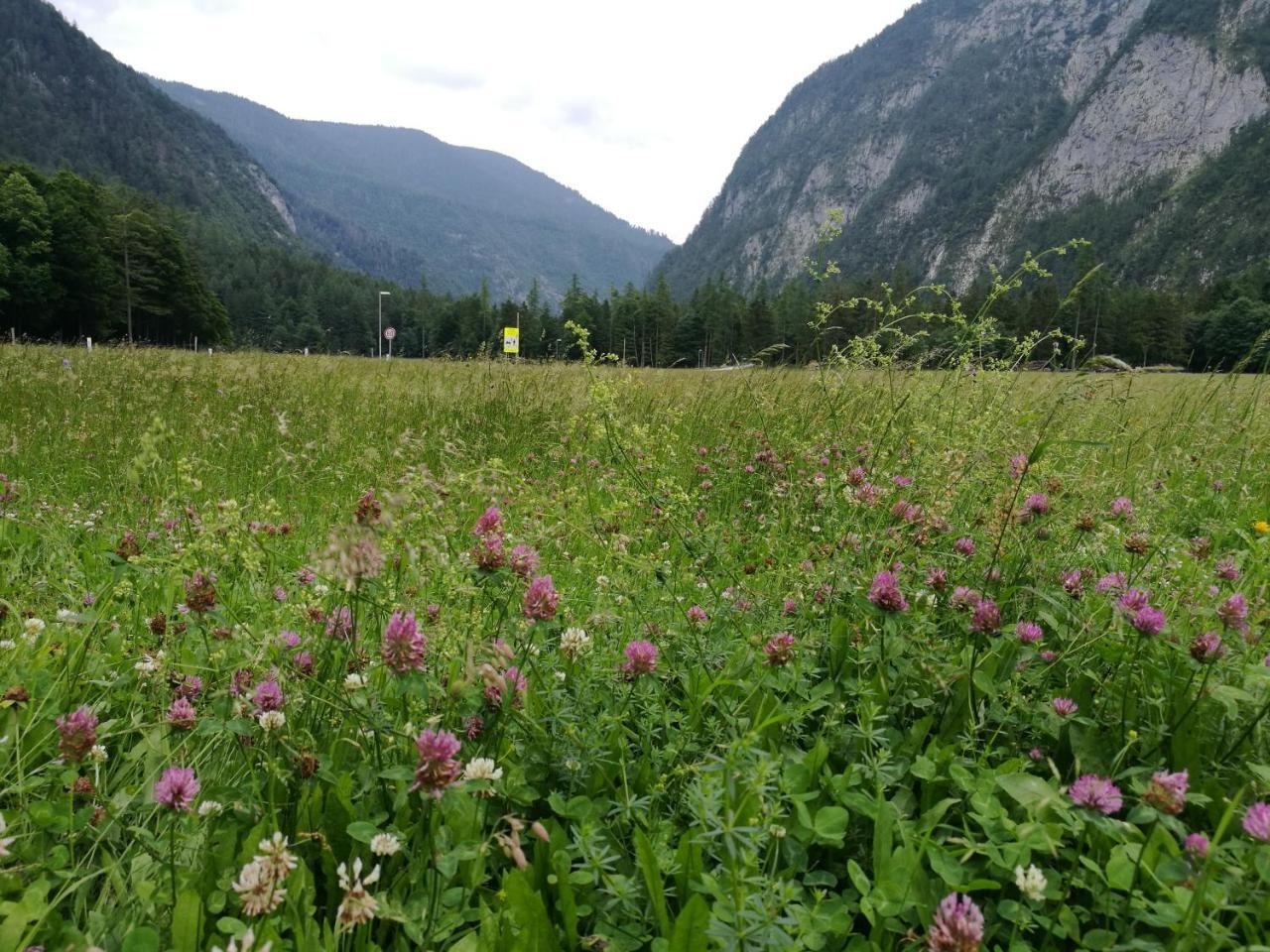 Turisticna Kmetija Psnak Mojstrana Exterior foto