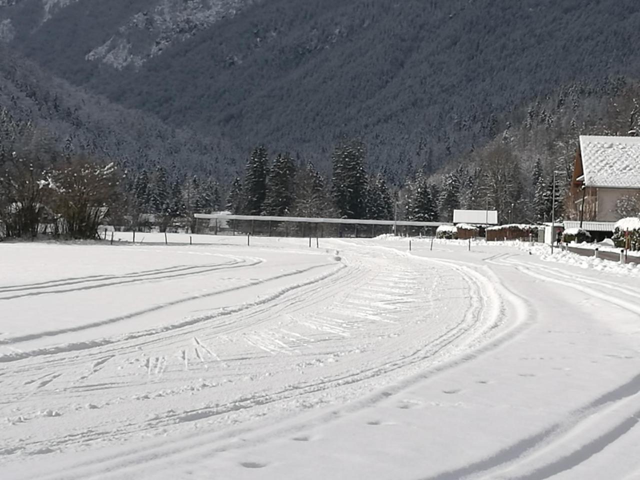 Turisticna Kmetija Psnak Mojstrana Exterior foto